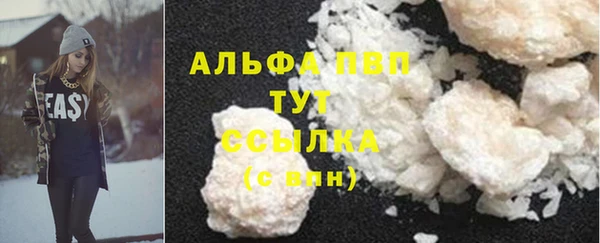 кокс Гусев