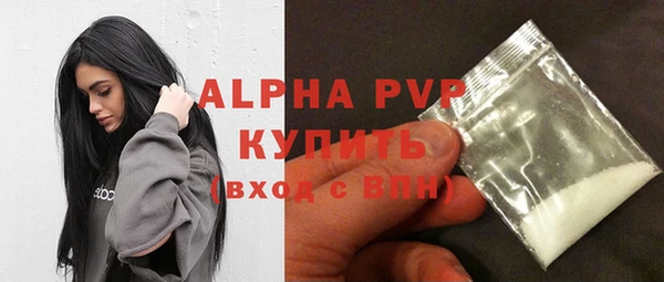 PSILOCYBIN Гусиноозёрск