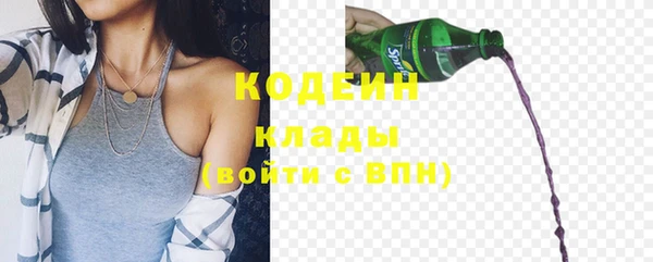 дмт Гусь-Хрустальный