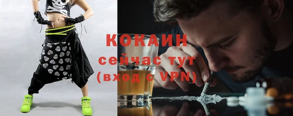 дмт Гусь-Хрустальный