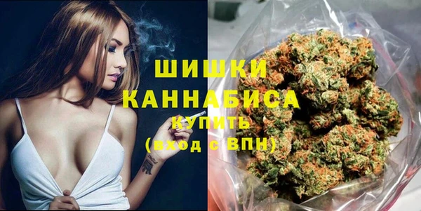 кокс Гусев