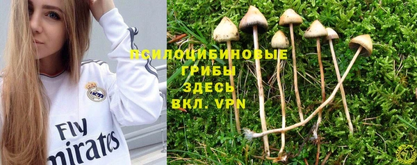 дмт Гусь-Хрустальный