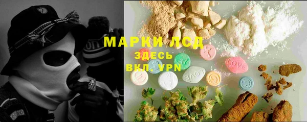 PSILOCYBIN Гусиноозёрск