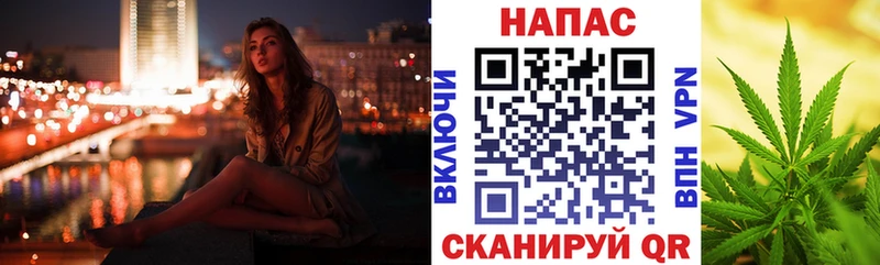 Каннабис OG Kush Купить где Алзамай